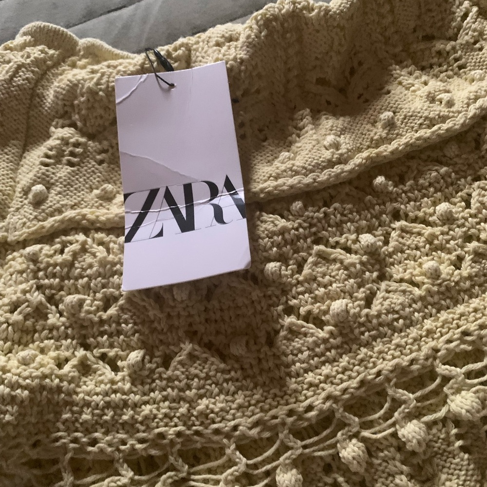 Zara Crochet Crop Top in Beige